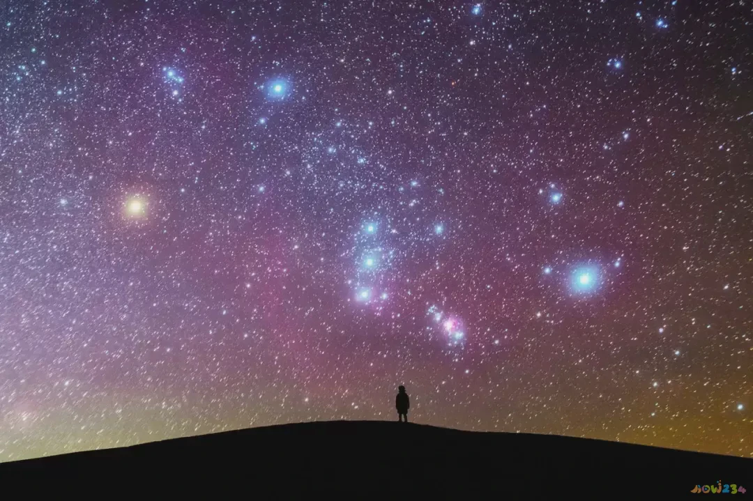 在家做什么运动对腰好_居家锻炼腰部的动作视频_家里锻炼腰部方法视频