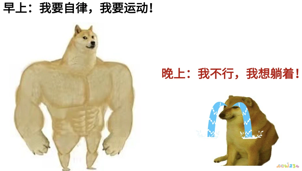 反弹减肥开始运动时候怎么办_运动减肥反弹什么时候开始_减肥运动反弹了怎么办