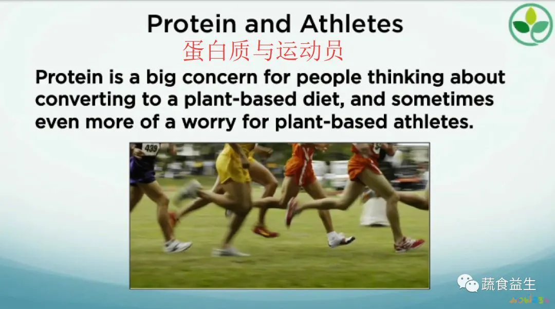 蛋白质有运动作用吗_运动需要蛋白质_蛋白质运动需要什么酶