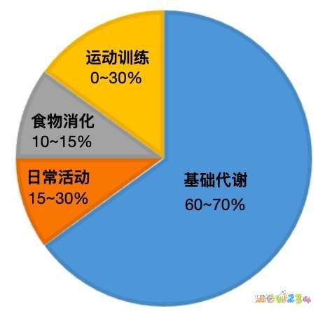 减肥快的运动方法_减肥运动方法视频教程_减肥运动方法瘦肚子和大腿运动