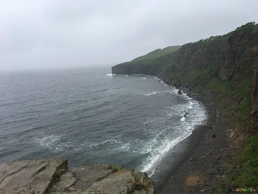 运动代谢率高好还是低好_代谢与运动_运动代谢怎么算