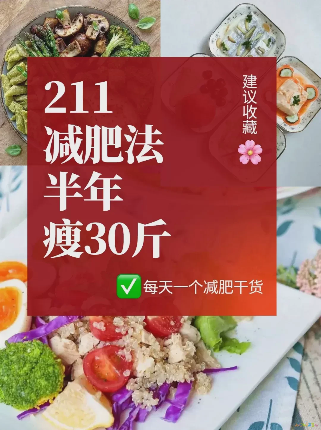 依靠饮食减肥_减肥 三分靠运动 七分靠饮食_靠饮食减脂可以吗