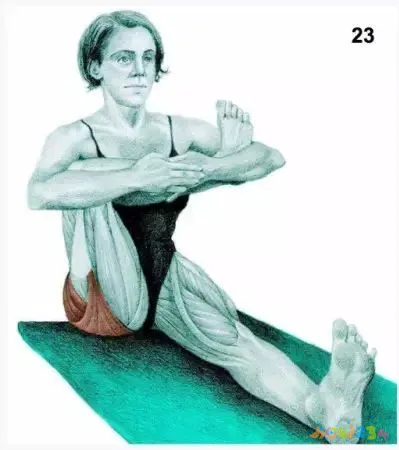 拉伸运动图片动作大全_拉伸运动图片动作视频_运动拉伸动作图片