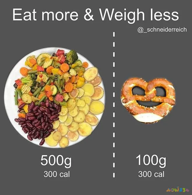 减肥运动计划_如何不运动减肥_减肥运动有哪些项目