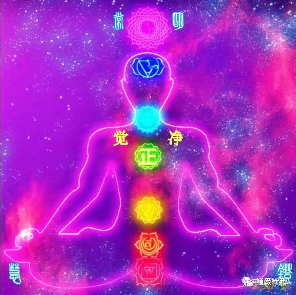 腰疼运动操作视频_腰疼运动方法图片_腰疼做什么运动动作图