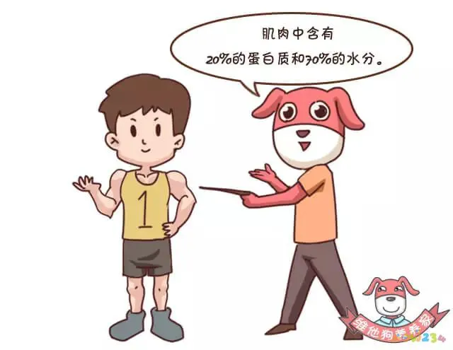 怎么运动减胸围_怎么运动减胸围_怎么运动减胸围