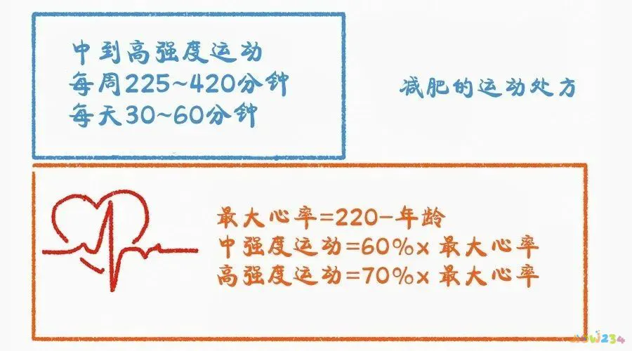运动减肥没有瘦_减脂运动不瘦还胖了_运动减肥不但没瘦反而