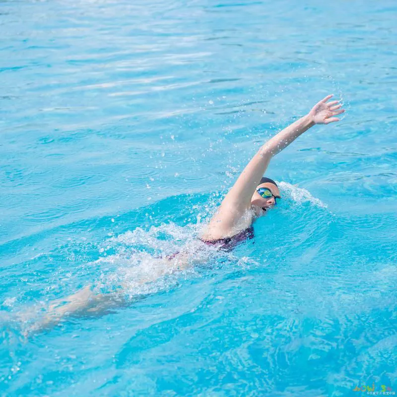 减脂运动会_反弹减肥运动会掉肌肉吗_运动减肥也会反弹