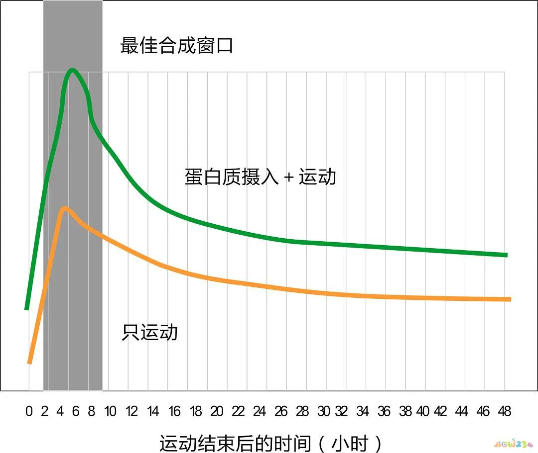 运动后蛋白质补充_做完运动补充蛋白质_蛋白质补充运动后的变化