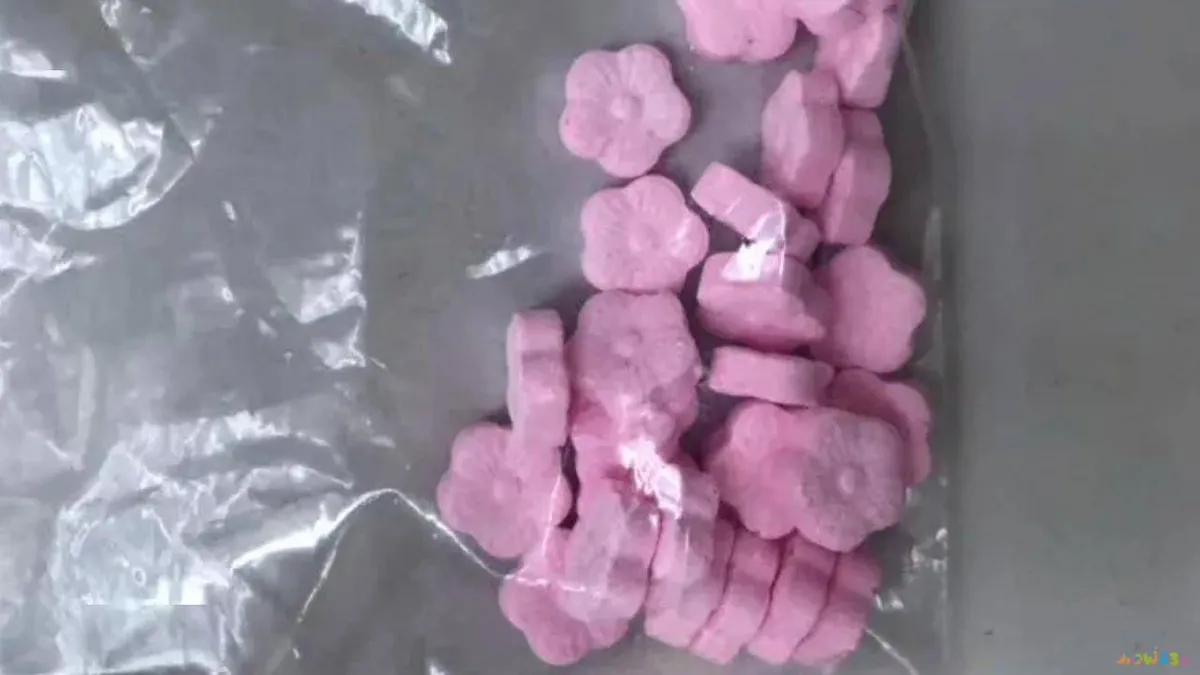 减肥药配合运动会反弹吗_减肥药配合运动好不好_好减肥药配合运动有哪些