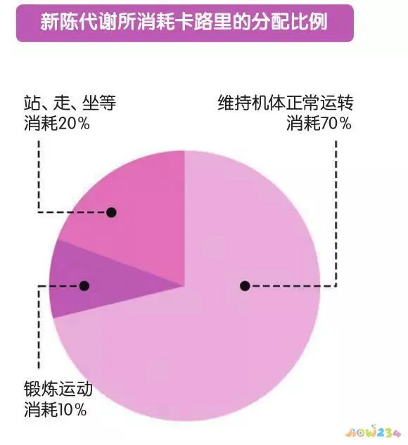 运动减肥方法大全_减肥运动方法图解_减肥大全运动方法视频