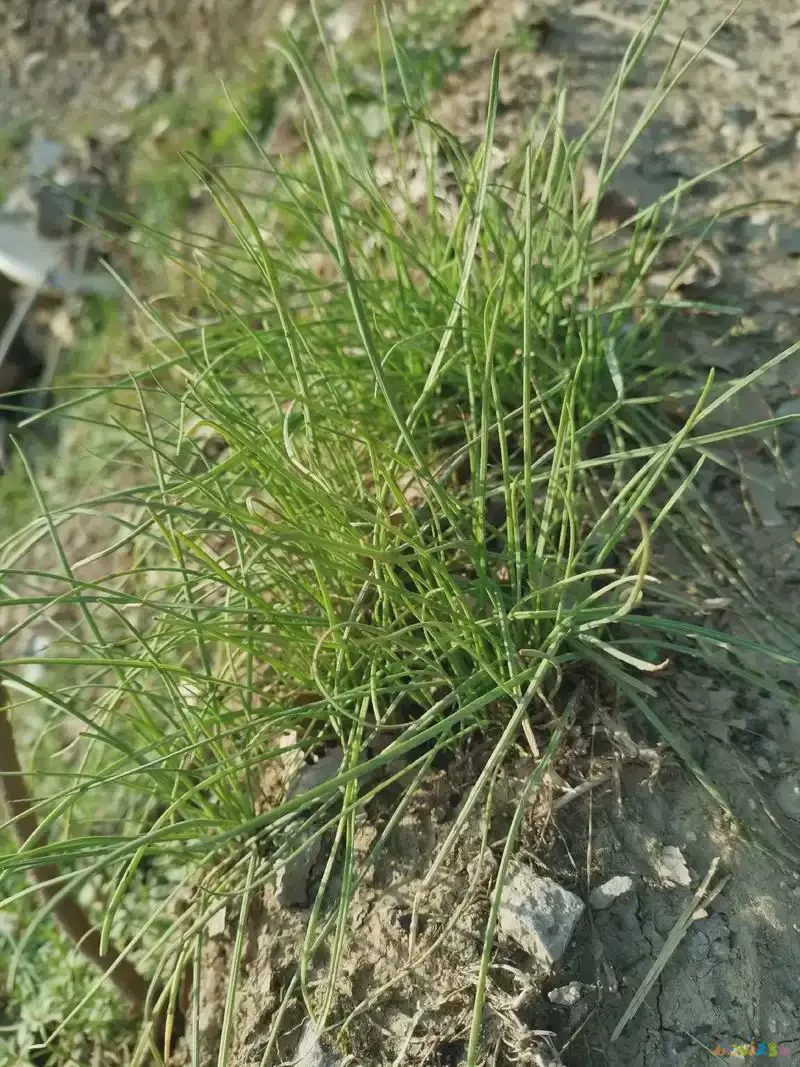 完运动减脂吃后多久拉屎_运动完后吃什么减脂_完运动减脂吃后会胖吗