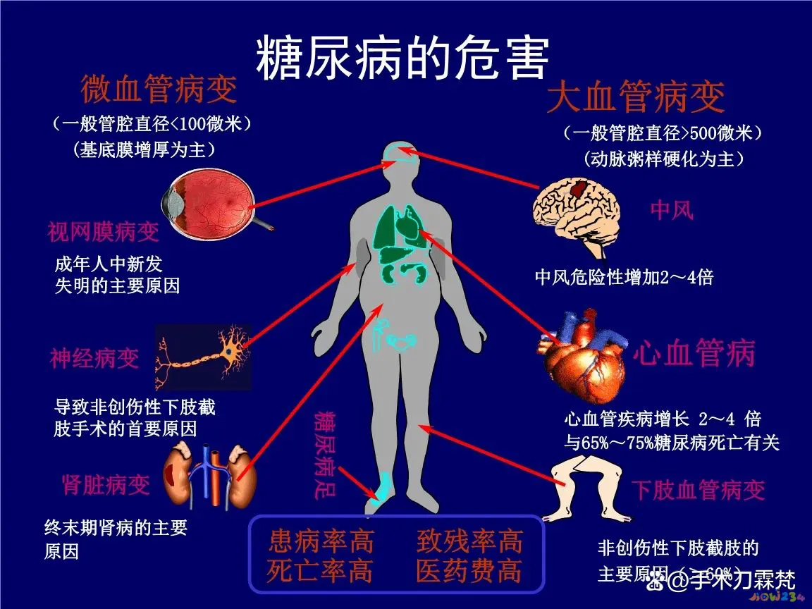 运动减肥吃几分饱_减肥运动期间吃什么好_运动减肥期间吃什么主食