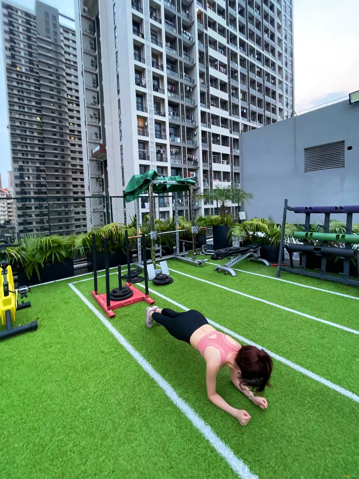 健身的机械动作名称大全_健身房的机械_健身房运动机械