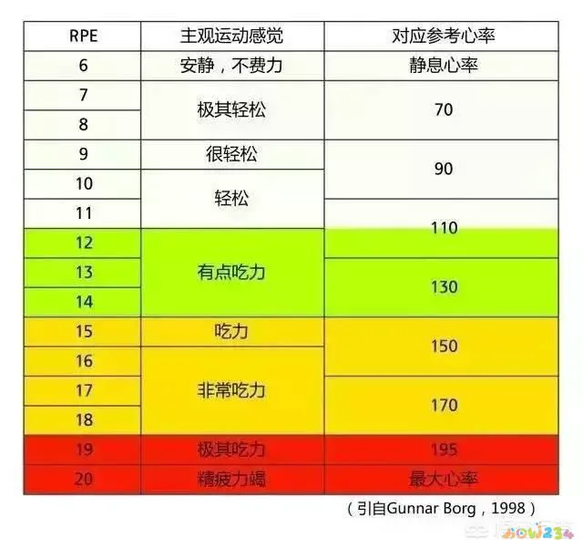 腰疼运动操作视频_腰痛锻炼动作_腰疼做什么运动动作图