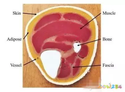跳跃瘦腿运动小孩能做吗_做跳跃运动小腿会变粗吗_跳跃运动瘦小腿