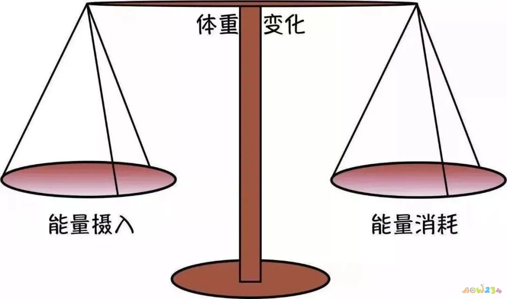 锻炼腹肌需要有氧运动吗_练腹肌要有氧还是无氧_练腹肌要有氧运动吗