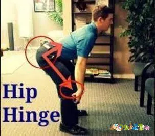 关节损伤运动深蹲髋关节疼痛_深蹲髋关节做什么运动_深蹲髋关节运动损伤