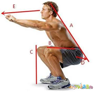 深蹲髋关节受限_深蹲髋关节运动损伤_深蹲髋关节受伤