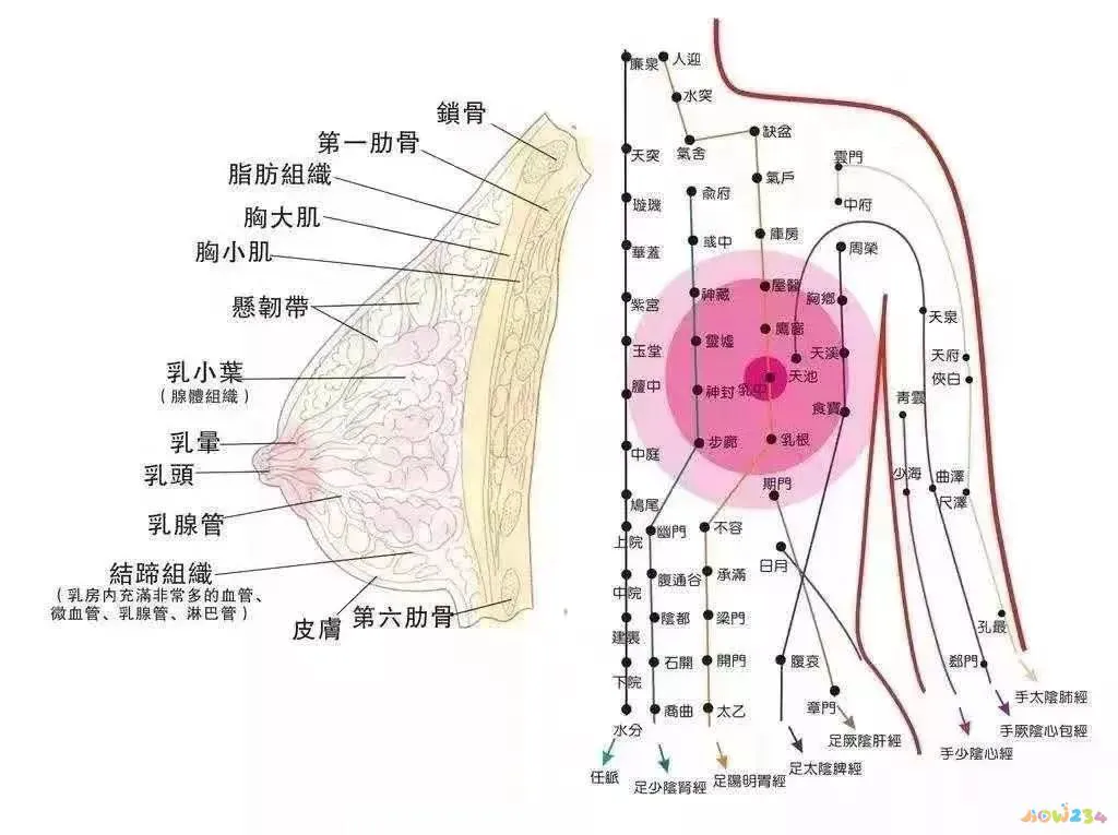 每天运动4个小时能瘦多少_每天运动1小时一个月能瘦多少_不运动就不能瘦下来吗