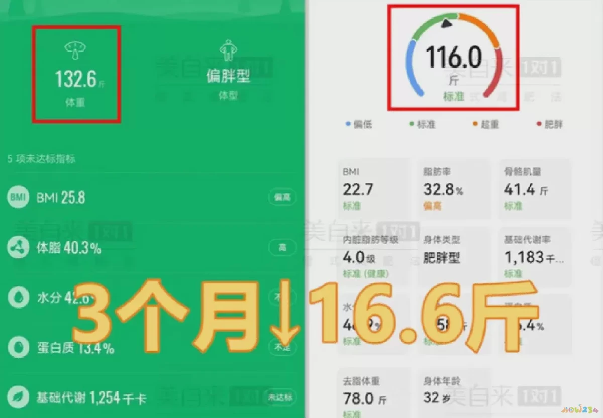 减体脂率的动作_运动减肥体脂率_减体脂率有哪些运动