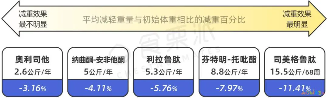 减肥停止运动会反弹吗_运动减肥能不能停_减肥运动可以停一天吗