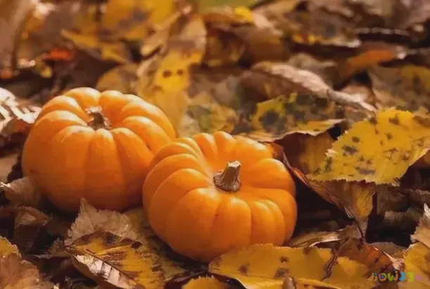 女人运动好吗_女人运动安排_女人运动的十大好处