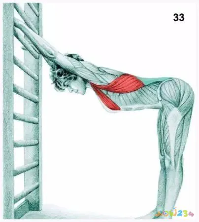 运动拉伸动作图片_拉伸运动图片动作视频_拉伸运动图片动作大全