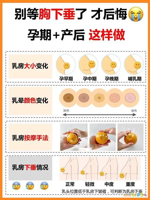 运动减肥胸变小怎么办_运动减肥胸变小怎么办_运动减肥胸变小怎么办