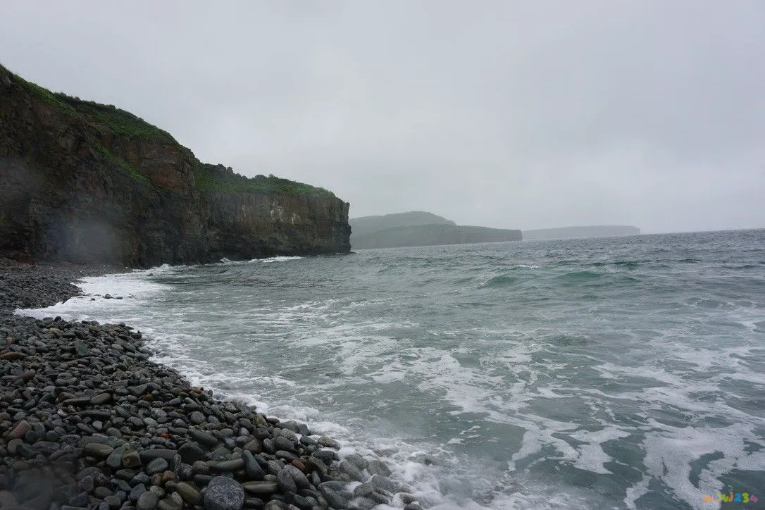 运动代谢怎么算_运动代谢率高好还是低好_代谢与运动