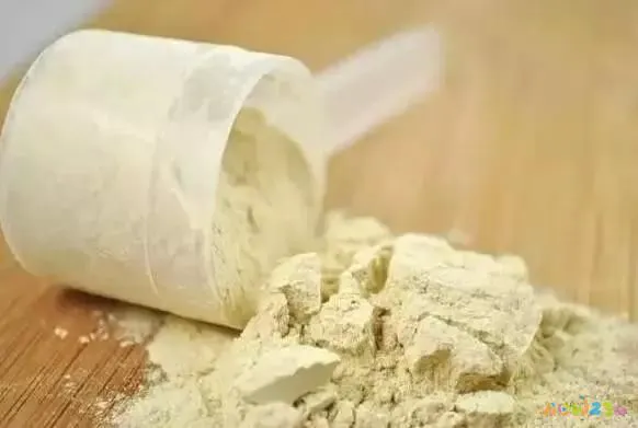 单纯喝蛋白粉运动少 能减脂吗_蛋白单纯能喝粉运动少的奶粉吗_蛋白粉可以运动时喝吗