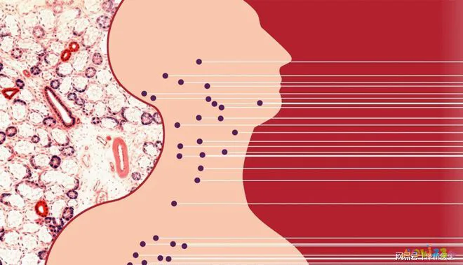 经期可以轻断食吗_轻断食正在横扫全球的瘦身革命_轻断食可以运动吗