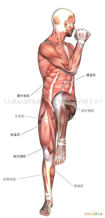 高强度跑步减脂吗_强度跑怎么跑_10公里跑的运动强度