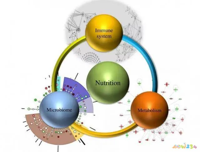 减脂期无氧运动_运动期减脂无氧可以吗_运动期减脂无氧还是有氧