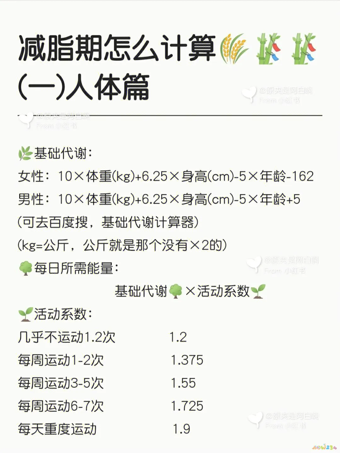 塑型运动跟减肥的区别_减肥和塑型哪个重要_减脂与运动塑形