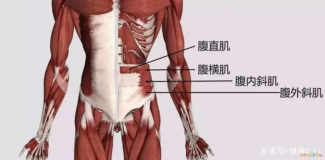 臂部怎么减肥运动_瘦臂运动怎么写_臂部减肥视频教程