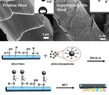 肥胖体虚的人适合什么运动_强直性脊柱炎适合运动_肥胖适合那些运动