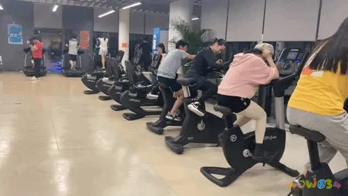 健身房机械的使用方法_健身的机械动作名称大全_健身房运动机械