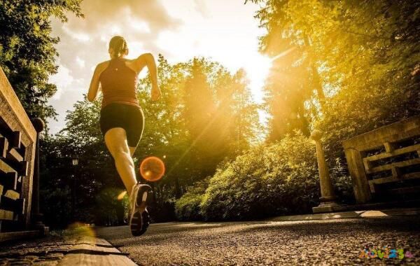 减脂期间无氧运动_无氧减肥运动_怎样通过无氧运动减脂