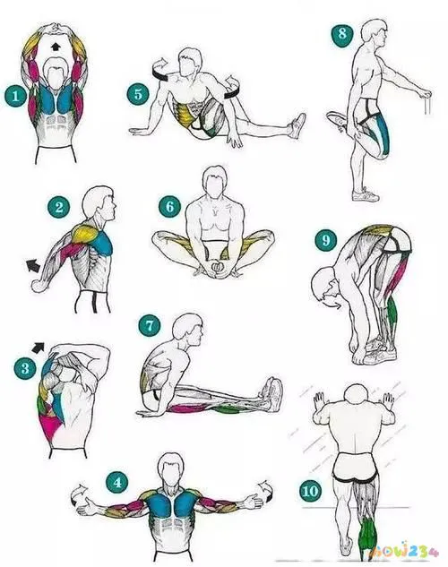 运动后怎么拉伸腿部线条更好_锻炼后腿部拉伸_拉伸线条腿部运动好后疼痛