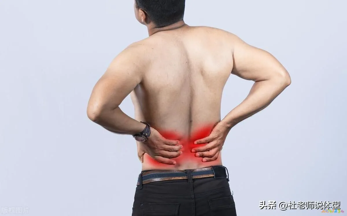 什么运动有助于腰部_腰部助运动有什么作用_腰部助运动有哪些项目