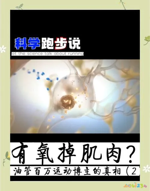 布偶猫不是满背影响下一代吗_诚成教育至金品质卷子的名字_瘦子健身是有氧运动