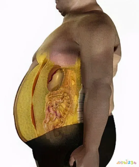 怎样通过无氧运动减脂_无氧减肥运动_减脂期间无氧运动