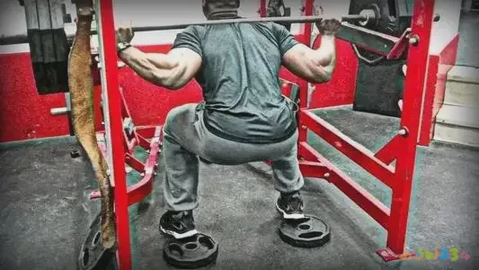 深蹲髋关节运动损伤_深蹲髋关节受伤_深蹲对髋关节骨头有伤害吗