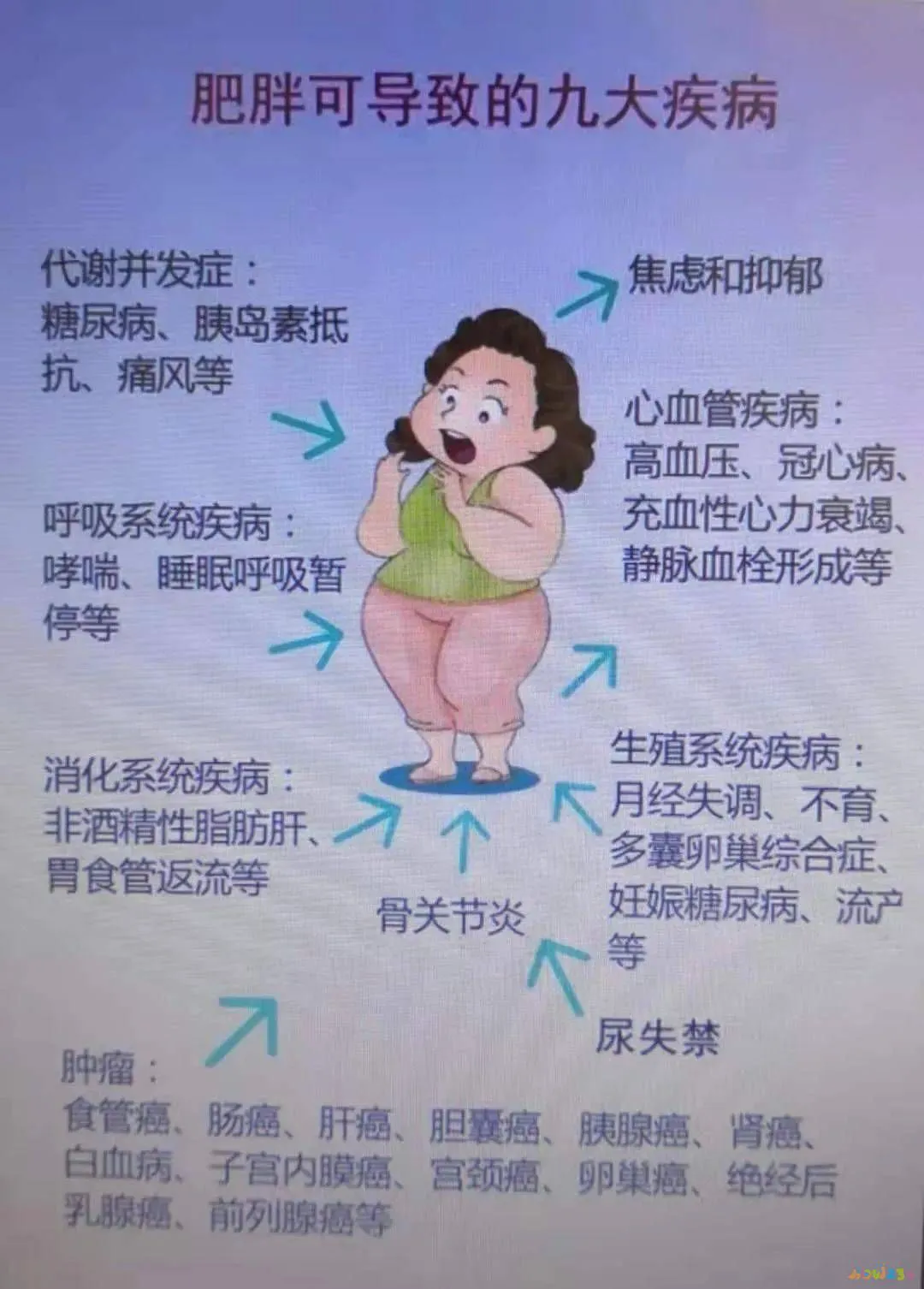 肥胖适合的运动_肥胖适合那些运动_肥胖运动适合减肥吗