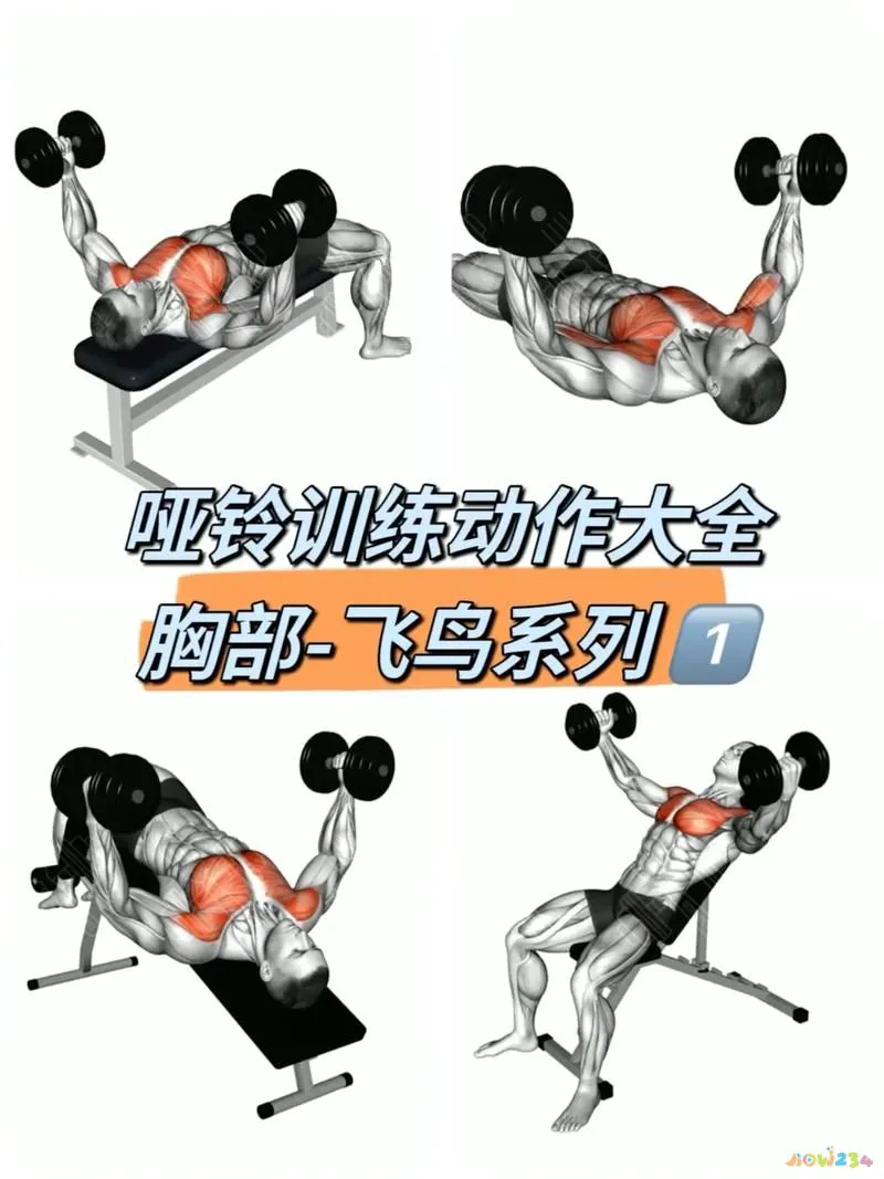 如何减胸_减胸的运动_怎么减胸