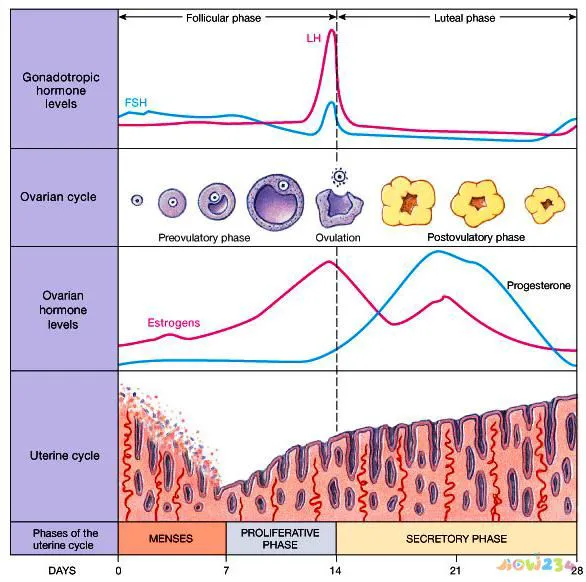 女人运动的十大好处_女人运动好吗_女人运动安排