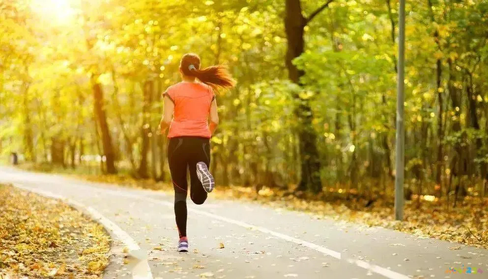 室内什么时候运动减肥_减肥室内运动时候能喝水吗_减肥室内运动时候吃什么