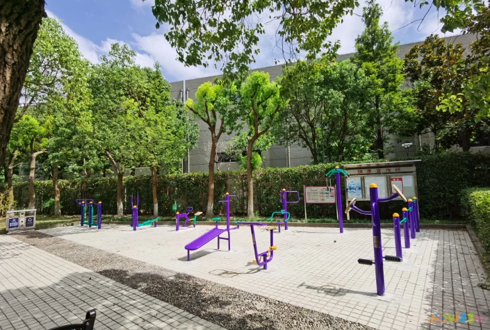 健身房运动规划_健身房规划设计_健身运动规划怎么写