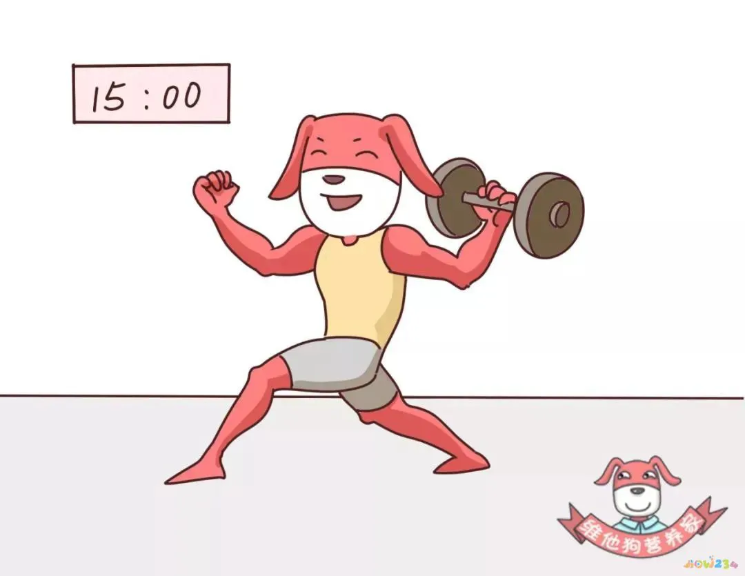 运动前喝蛋白粉_蛋白粉运动前喝好_蛋白粉应该运动前喝